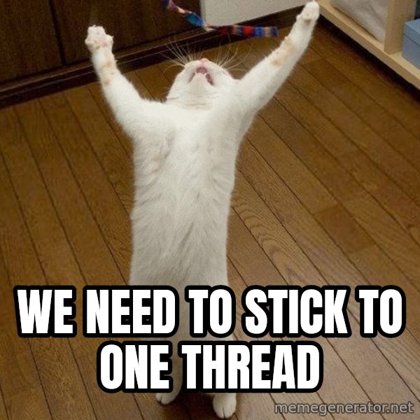 praise the lord cat meme: WE NEED TO STICK TO ONE THREAD
