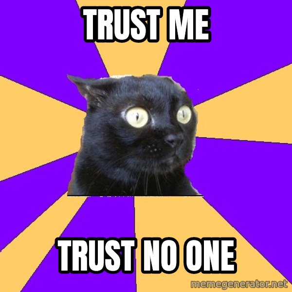 Anxiety Cat meme: Trust me / Trust no one