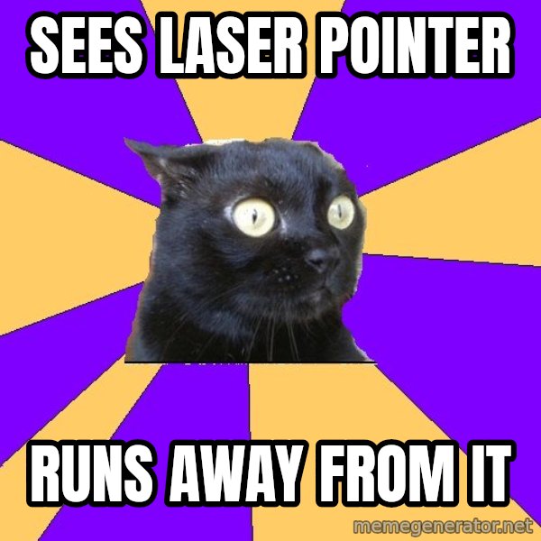 Anxiety Cat meme: sees laser pointer / runs away from it