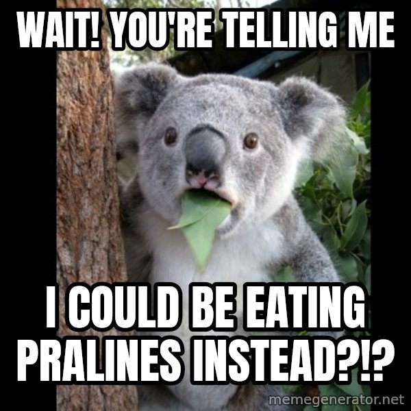 Koala can't believe it meme: Wait! You're telling me / I could be eating pralines instead?!?