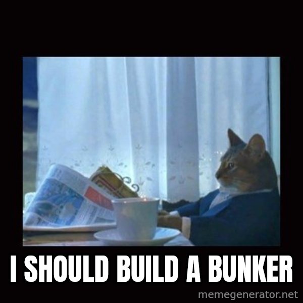 i should buy a boat cat meme: I should build a bunker
