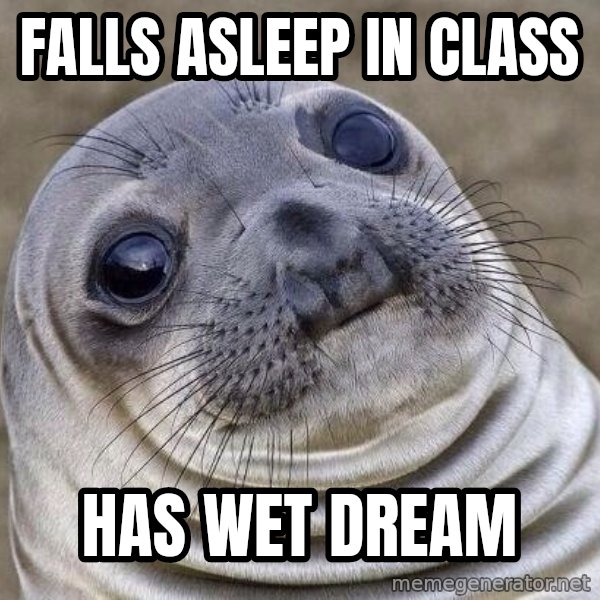 Awkward Seal meme: falls asleep in class / has wet dream