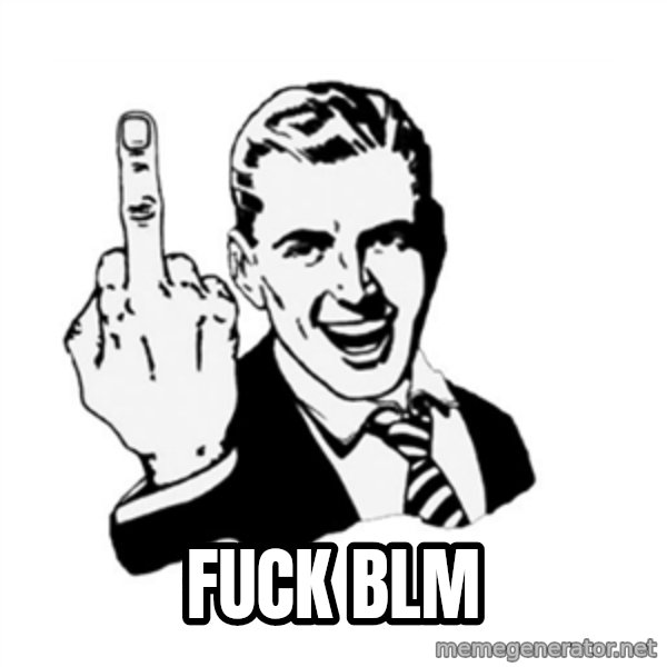 middle finger meme: FUCK BLM