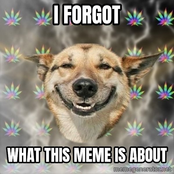 Stoner Dog meme: I forgot / what this meme is about