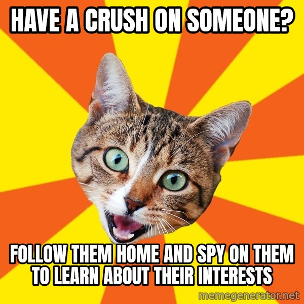 Bad Advice Cat meme: Have a crush on someone? / follow them home and spy on them to learn about their interests