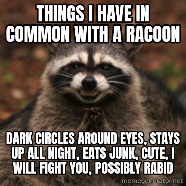 evil raccoon meme: things i have in common with a racoon / dark circles around eyes, stays up all night, eats junk, cute, i will fight you, possibly rabid