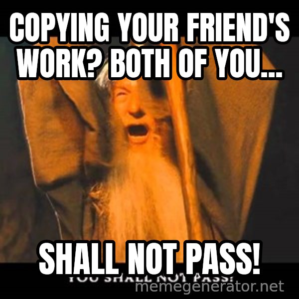 You Shall Not Pass Gandalf With Bottom Text meme: Copying your friend's work? Both of you... / shall not pass!