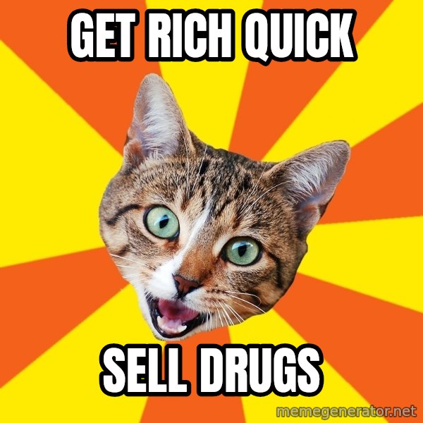 Bad Advice Cat meme: Get rich quick / sell drugs