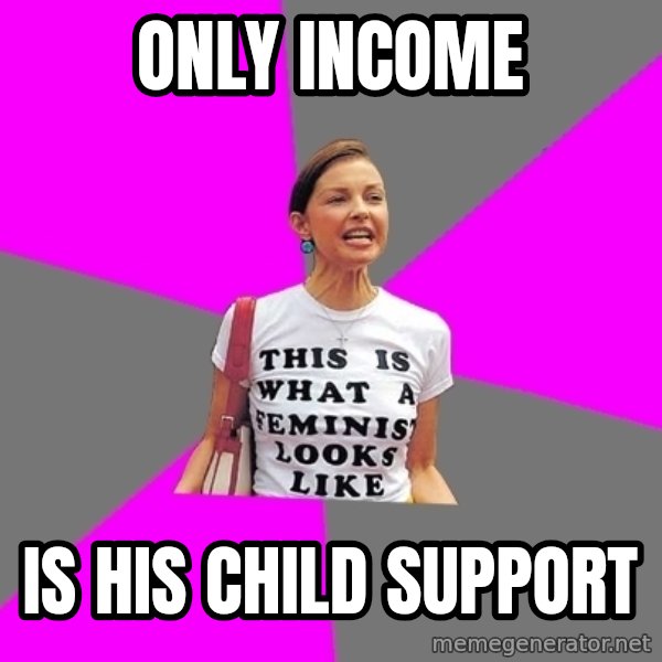 Feminist Cunt meme: only income / is his child support