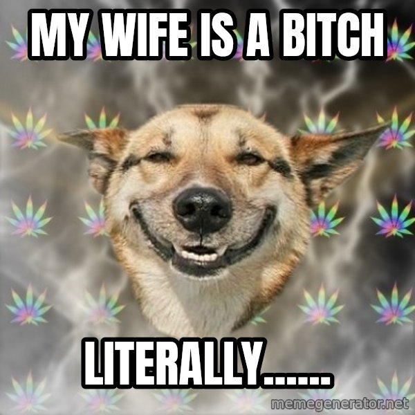 Stoner Dog meme: My wife is a bitch / Literally......