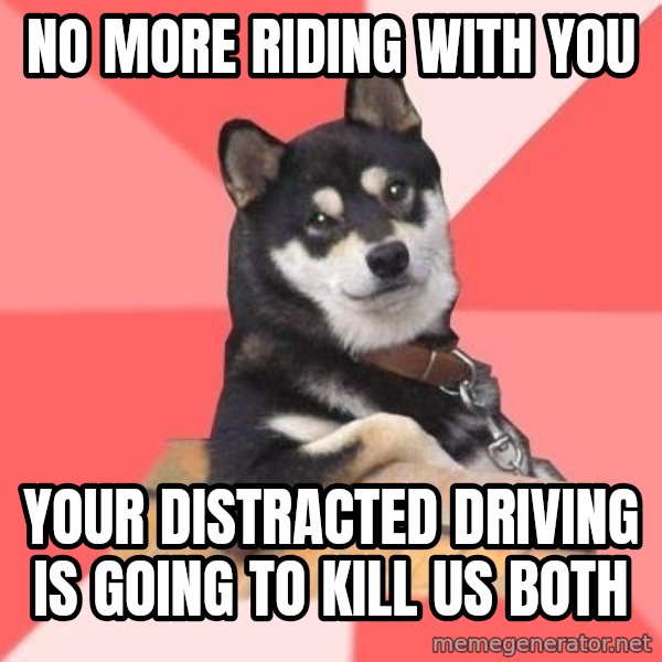 Cool Dog meme: no more riding with you / your distracted driving is going to kill us both