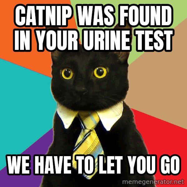 Business Cat meme: Catnip was found in your urine test / We have to let you go