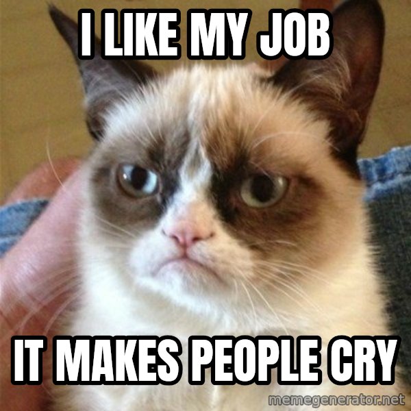 Grumpy Cat  meme: I like my job / it makes people cry