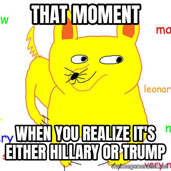 Grumpy Cat  meme: That moment / when you realize it's either hillary or trump
