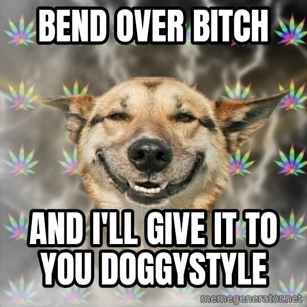Stoner Dog meme: bend over bitch / and i'll give it to you doggystyle