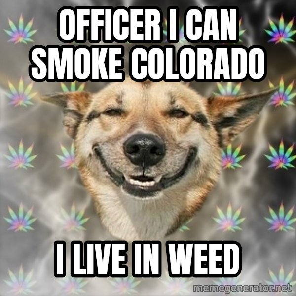 Stoner Dog meme: officer i can smoke colorado / i live in weed