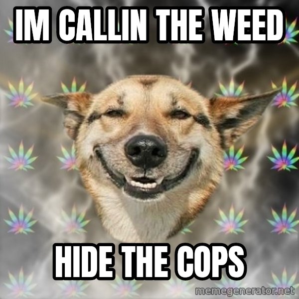 Stoner Dog meme: Im callin the weed / Hide the cops