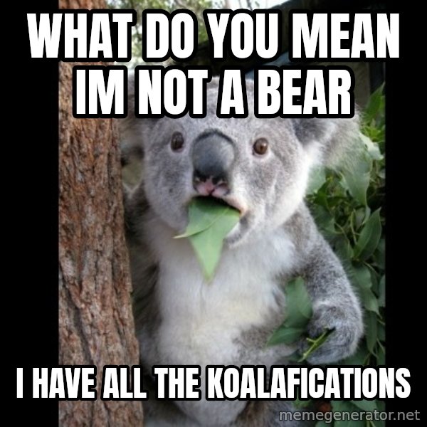 Koala can't believe it meme: What do you mean im not a bear / I have all the koalafications