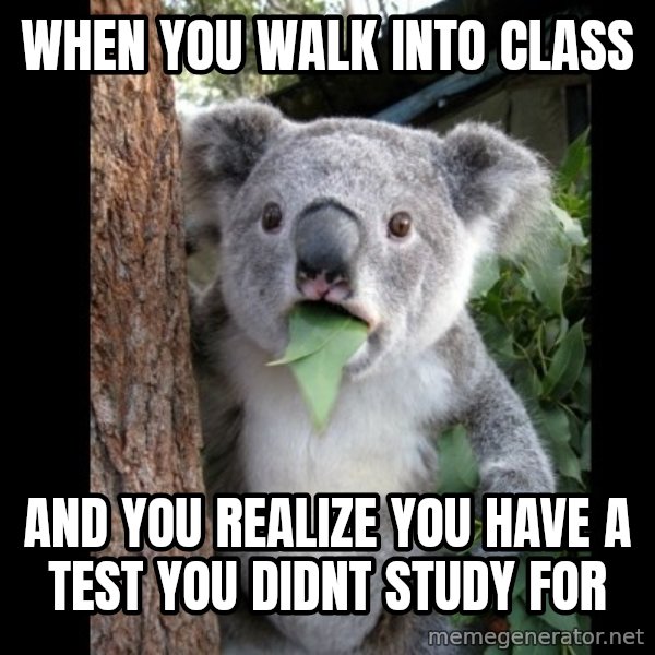 Koala can't believe it meme: When you walk into class / and you realize you have a test you didnt study for