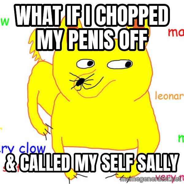 What If I Told You meme: what if i chopped my penis off / & called my self sally