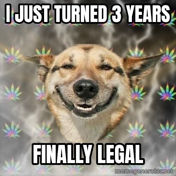Stoner Dog meme: I just turned 3 years / Finally legal