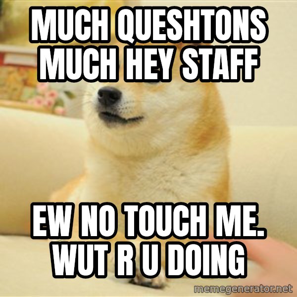 so doge meme: Much Queshtons Much Hey staff / Ew no touch me. Wut r u doing