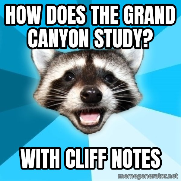Lame Pun Coon meme: How does the Grand Canyon study? / With Cliff Notes