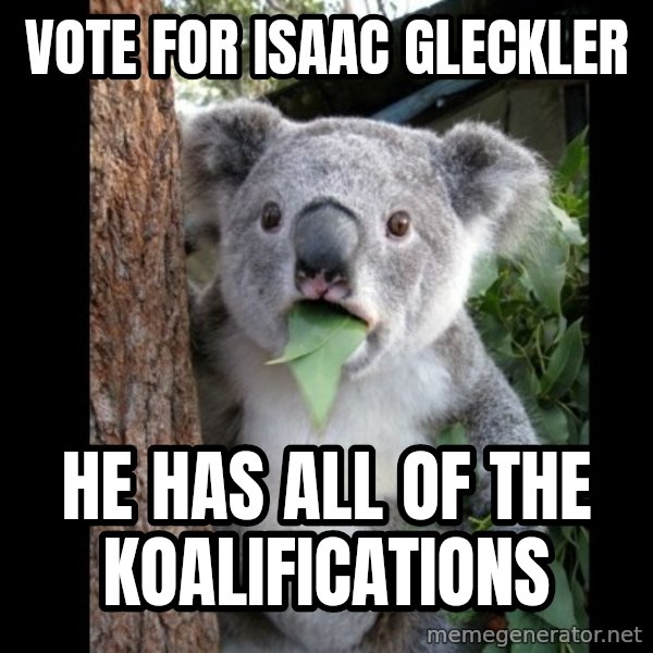 Koala can't believe it meme: VOTE FOR ISAAC GLECKLER / HE HAS ALL OF THE KOALIFICATIONS