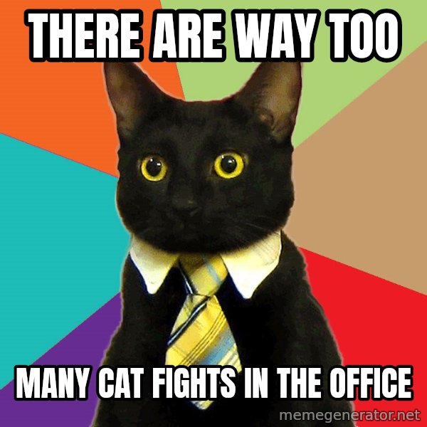 Business Cat meme: there are way too / many cat fights in the office