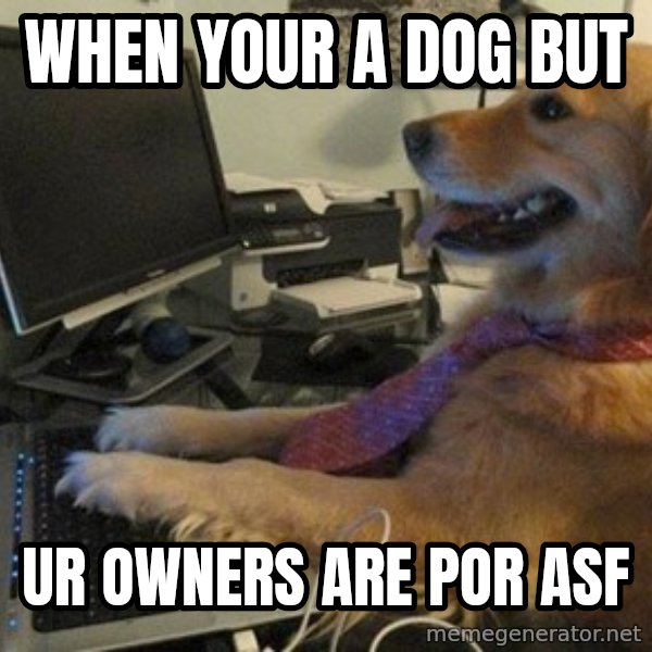 I have no idea what I'm doing - Dog with Tie meme: When your a dog but / ur owners are por asf
