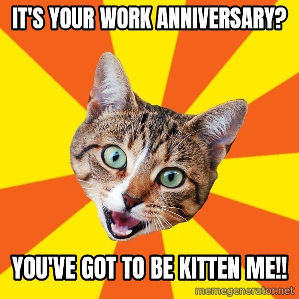 Bad Advice Cat meme: It's your work anniversary? / You've got to be kitten me!!