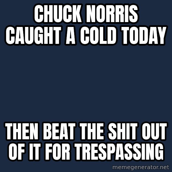 Chuck Norris  meme: Chuck Norris caught a cold today / then beat the shit out of it for trespassing