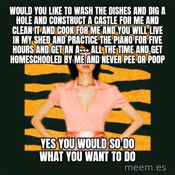 Tiger Mom meme: WOUlD YOU LIKE TO WASH THE DISHES and dig a hole and construct a castle for me and clean it and cook for me and you will live in my shed and practice the piano for five hours and get an A+++ all the time  and get homeschooled by me and never pee or poop / yes you would so do what you want to do