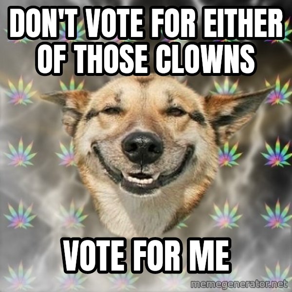 Stoner Dog meme: Don't vote for either of those clowns / vote for me