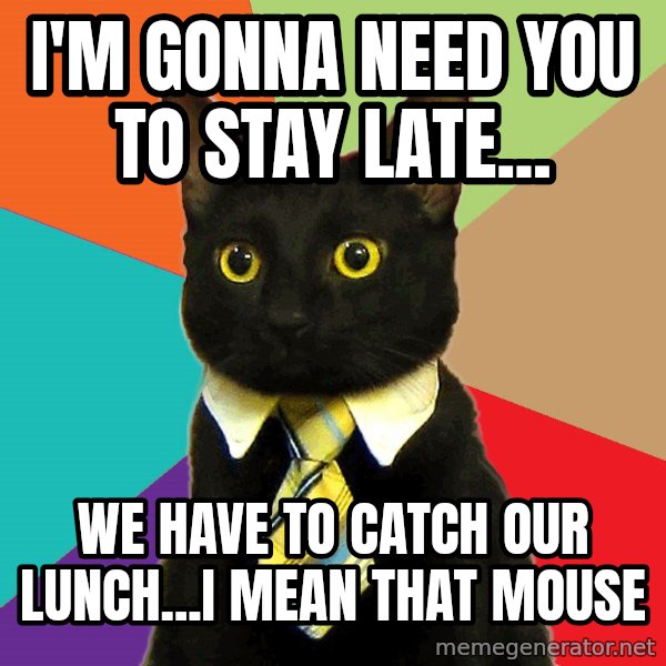 Business Cat meme: I'm gonna need you to stay late... / We have to catch our lunch...I mean that mouse