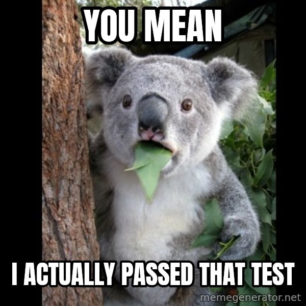 Koala can't believe it meme: You mean / I actually passed that test