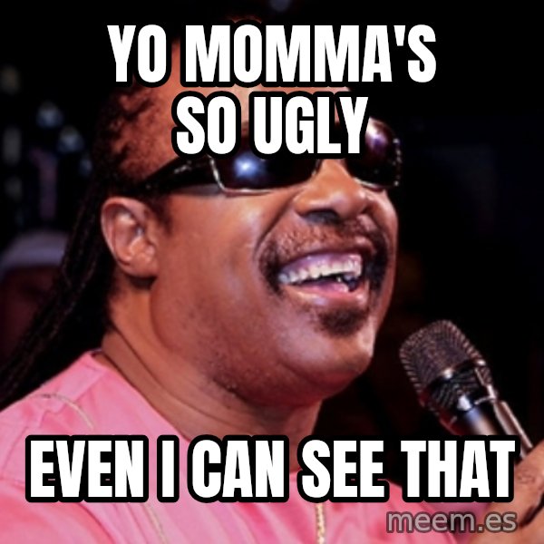stevie wonder meme: Yo momma's so ugly / even I can see that