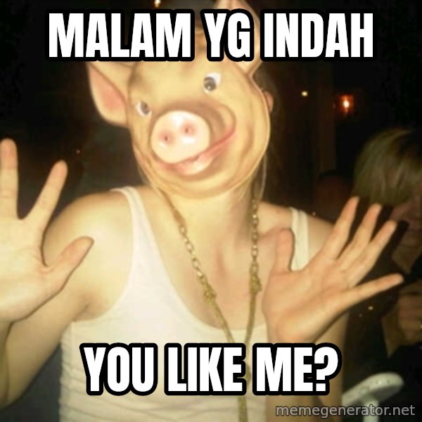 Pig Chloe meme: malam yg indah / you like me?