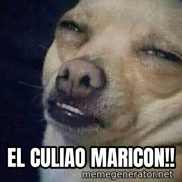 Perro el ql mentiroso meme: El culiao maricon!!