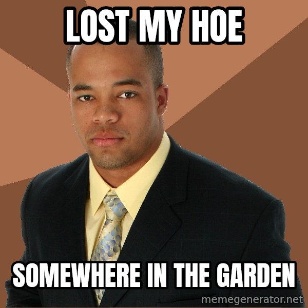 Successful Black Man meme: lost my hoe / somewhere in the garden