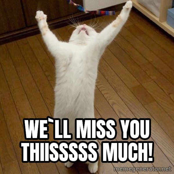 praise the lord cat meme: We`ll miss you thiisssss much!