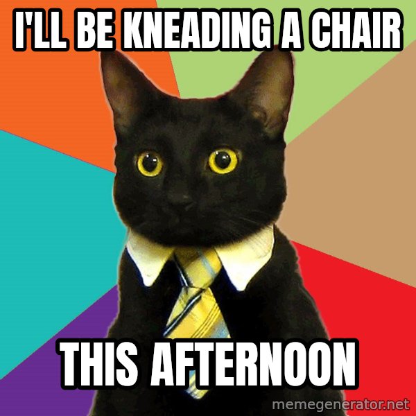 Business Cat meme: I'LL BE KNEADING A CHAIR / THIS AFTERNOON