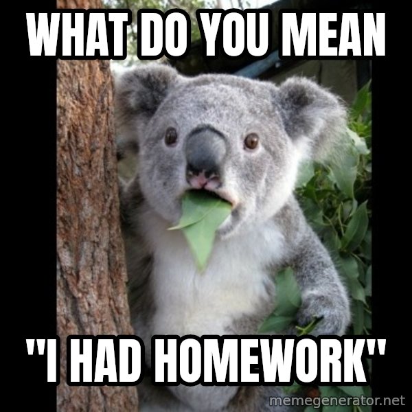Koala can't believe it meme: What do you mean / "i had homework"