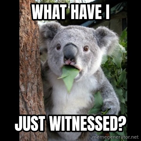 Koala can't believe it meme: What have I / Just witnessed?