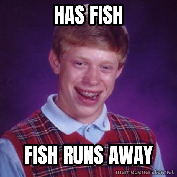 Bad Luck Brian meme: Has Fish / fish runs away