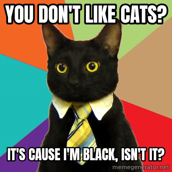 Business Cat meme: you don't like cats? / it's cause i'm black, isn't it?