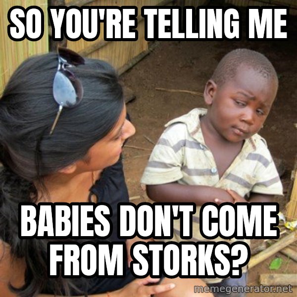 Skeptical 3rd World Kid meme: So you're telling me / Babies don't come from storks?
