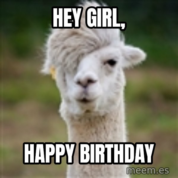 Hipster Llama meme: Hey girl, / happy birthday
