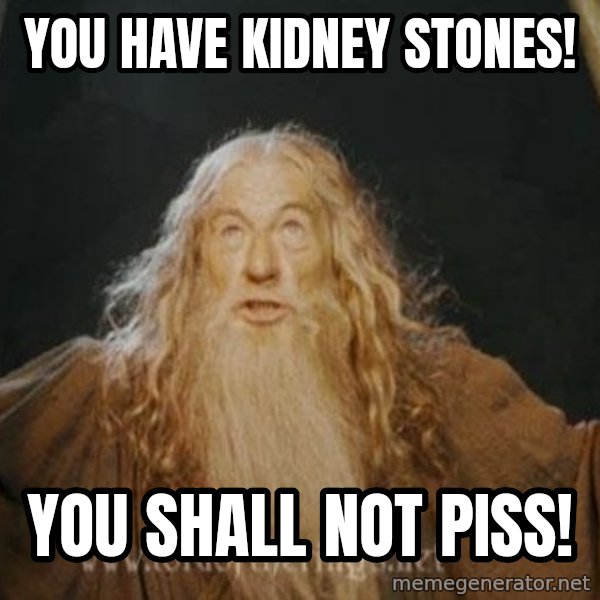 You shall not pass meme: you have kidney stones! / you shall not piss!