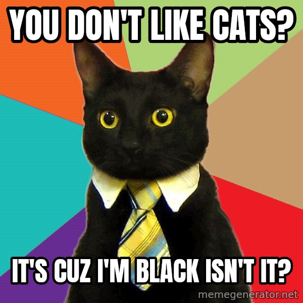 Business Cat meme: you don't like cats? / it's cuz i'm black isn't it?
